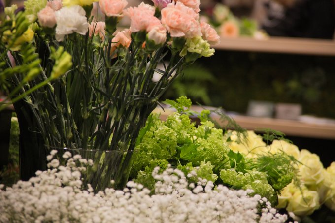 Un parfum de souvenir et de tendresse photo 12